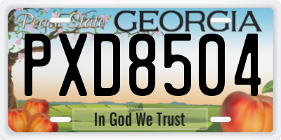 GA license plate PXD8504