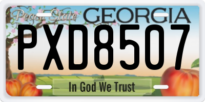 GA license plate PXD8507