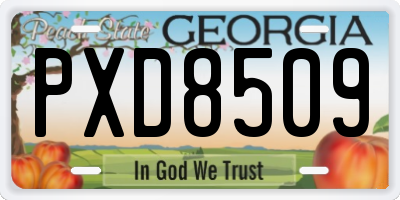 GA license plate PXD8509