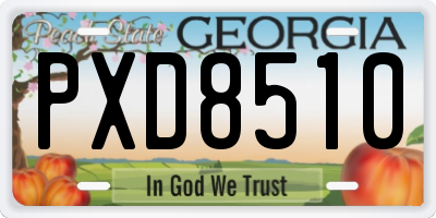GA license plate PXD8510