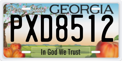 GA license plate PXD8512