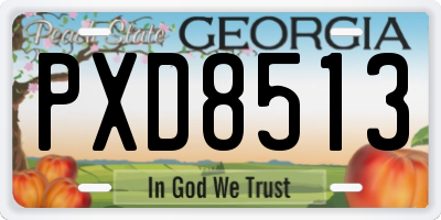GA license plate PXD8513