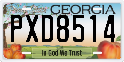 GA license plate PXD8514