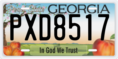 GA license plate PXD8517