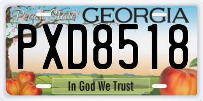 GA license plate PXD8518