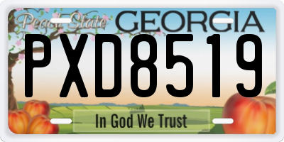 GA license plate PXD8519