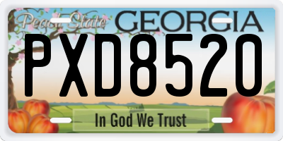 GA license plate PXD8520