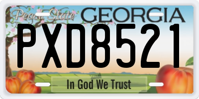 GA license plate PXD8521