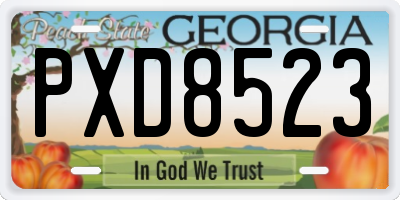GA license plate PXD8523