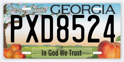 GA license plate PXD8524