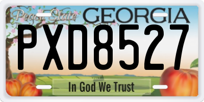 GA license plate PXD8527