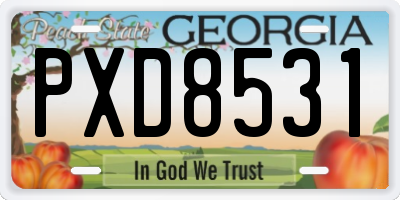 GA license plate PXD8531