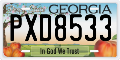 GA license plate PXD8533