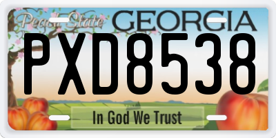 GA license plate PXD8538