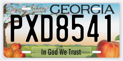 GA license plate PXD8541