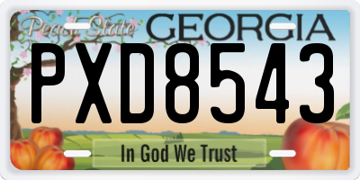 GA license plate PXD8543