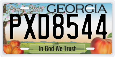 GA license plate PXD8544