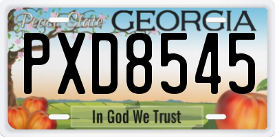 GA license plate PXD8545