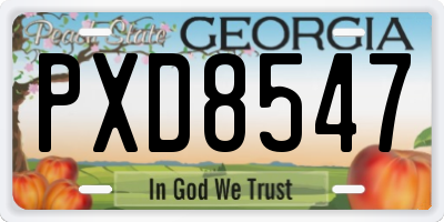 GA license plate PXD8547