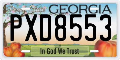 GA license plate PXD8553