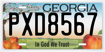 GA license plate PXD8567