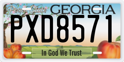 GA license plate PXD8571