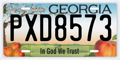 GA license plate PXD8573