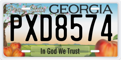 GA license plate PXD8574