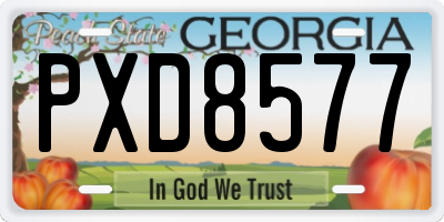 GA license plate PXD8577