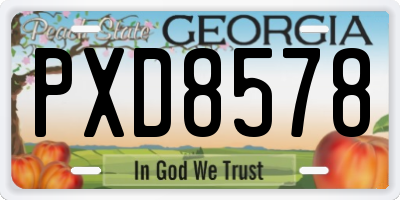 GA license plate PXD8578