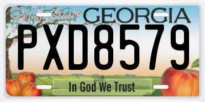 GA license plate PXD8579