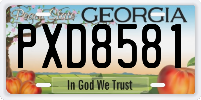 GA license plate PXD8581