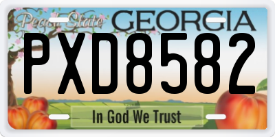 GA license plate PXD8582