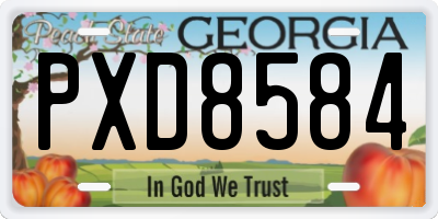 GA license plate PXD8584