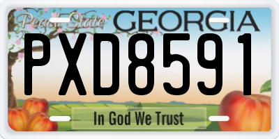GA license plate PXD8591