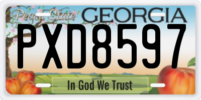 GA license plate PXD8597