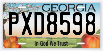 GA license plate PXD8598