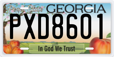 GA license plate PXD8601