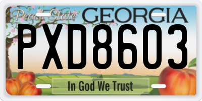 GA license plate PXD8603
