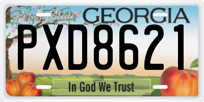 GA license plate PXD8621