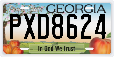 GA license plate PXD8624