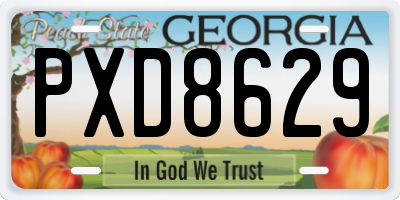 GA license plate PXD8629