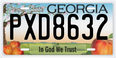 GA license plate PXD8632
