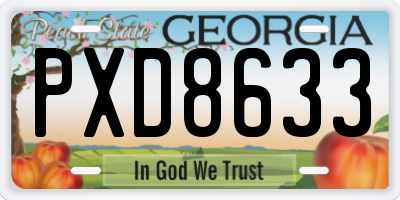 GA license plate PXD8633