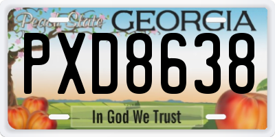 GA license plate PXD8638