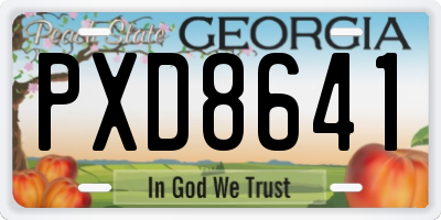 GA license plate PXD8641