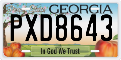 GA license plate PXD8643