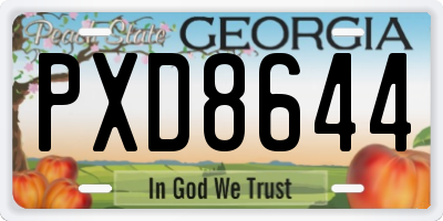 GA license plate PXD8644