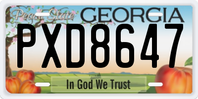 GA license plate PXD8647