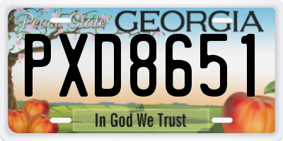 GA license plate PXD8651